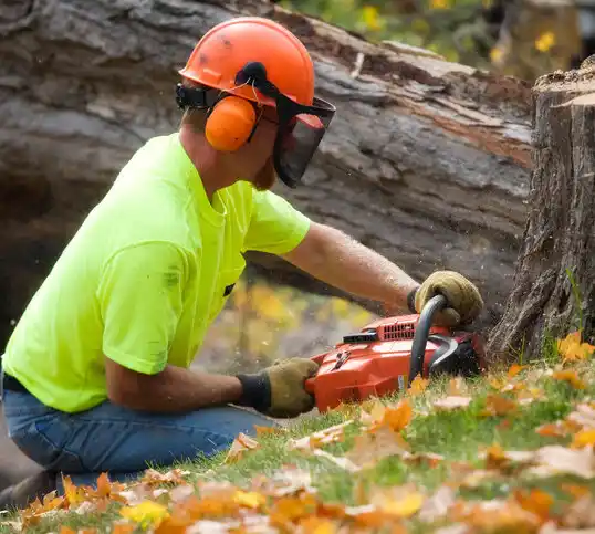 tree services Rensselaer